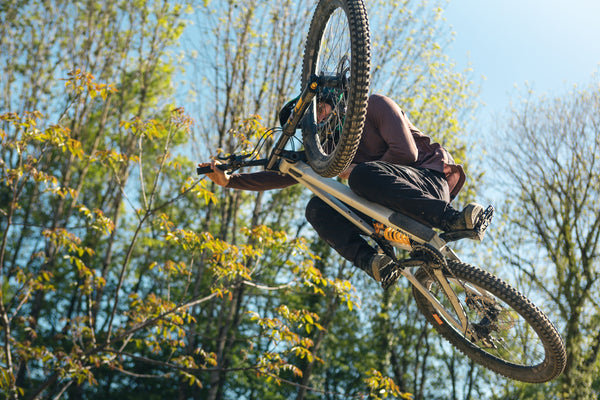 Downtime with Stevie Schneider