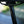Testbike Nr. 9 – Jibb V2 - Large