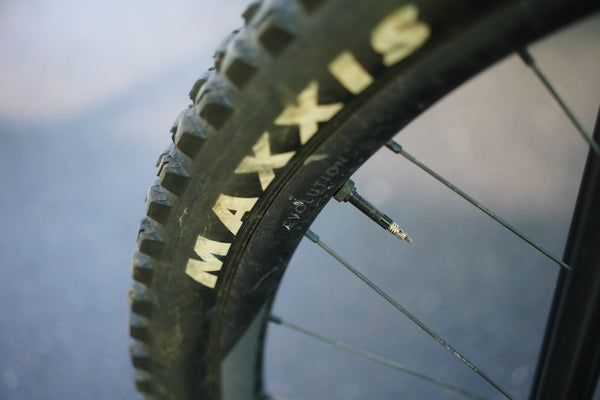 Testbike Nr. 7 – Madonna V3 - XLarge