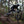 RAAW x Monserat - Jersey Two Black