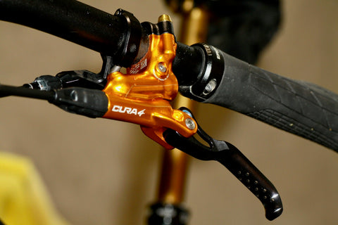 Jibb